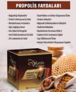 Şifamix Propolis Hindiba Kahve - Görsel 3