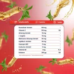 Panax Ginseng 60 Tablet - Görsel 3